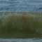 Gulf Oil Spill Photos